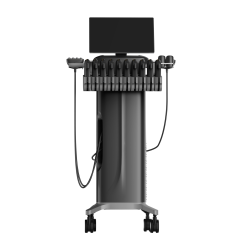 LipoShape 4D+